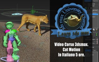 Corso 3ds max Cat Motion.jpg